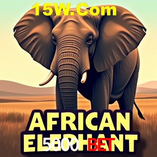 A Emoção da Loteria na 5000 Bet: Uma Chance de Mudança de Vida